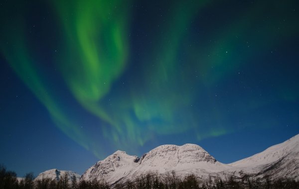 Est-il possible de louer une cabane dans les arbres en Finlande avec des excursions en motoneige et observation des aurores boréales?